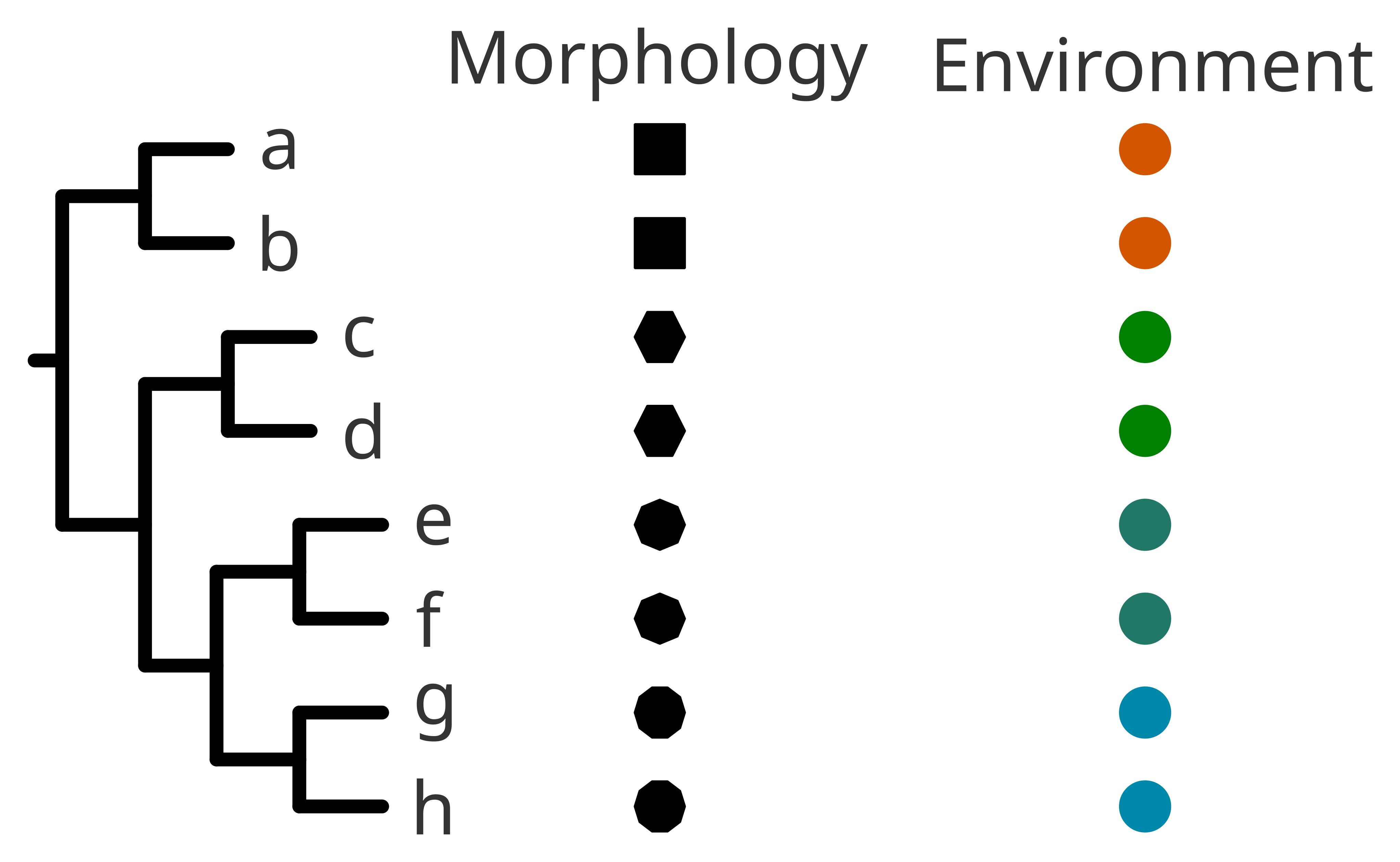 Examples3