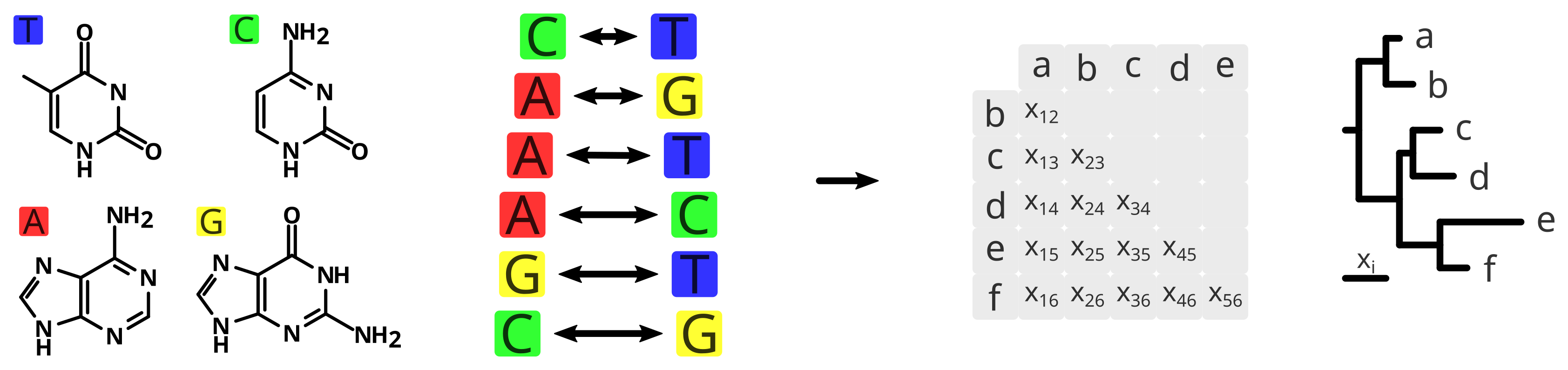 Models of evolution