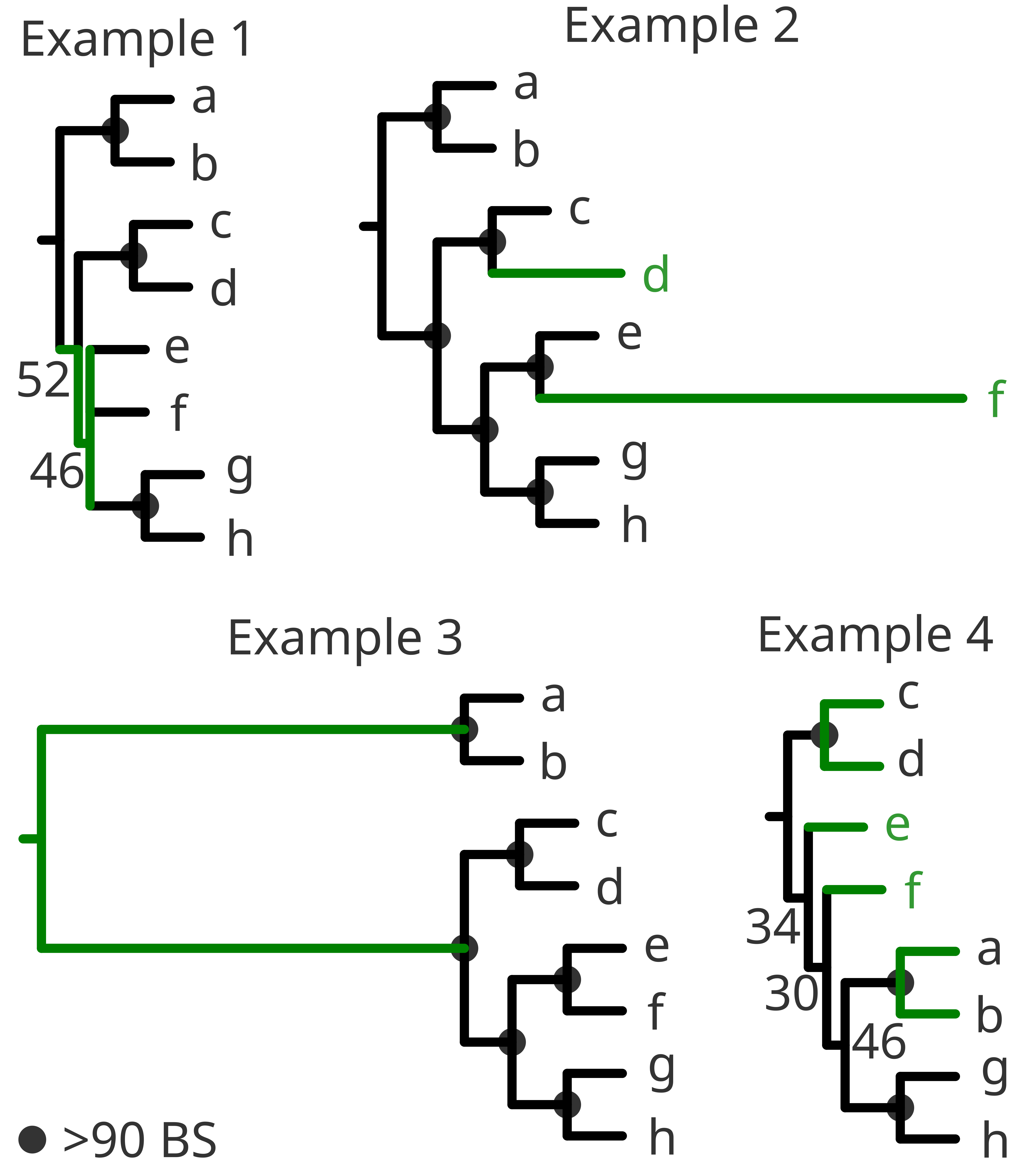 Examples1